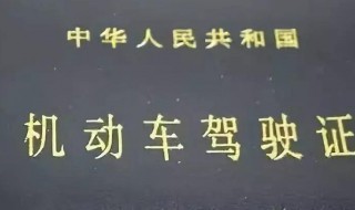 驾照考完的句子（驾照考完的心情语录）