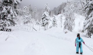 自由式滑雪大跳台世界杯（自由式滑雪大跳台世界杯回放男子）