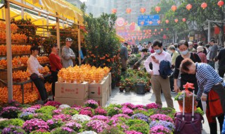 就地过年指的是多大范围 就地过年指的是多大范围的