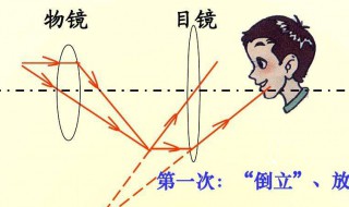 怎样区分实像和虚像（怎样区分实像和虚像举例）