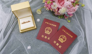 结婚22周年是属于什么婚（结婚35周年是属于什么婚姻）