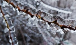 冻雨和雪有什么区别 冻雨和冻雪的区别