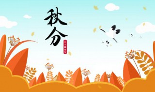 秋分节气前后应该如何养生（秋分时节怎么养生）