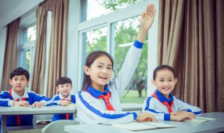 撑怎么组词（撑怎么组词组）