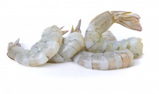 米虾怎么养(米虾怎么养活)