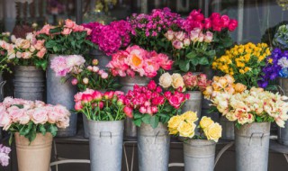 花束怎么养（带花泥的花束怎么养）