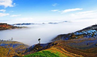 哀牢山在云南什么地方(哀牢山在云南什么地方?)