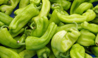 青椒炒香肠的做法 青椒炒香肠怎么炒好吃