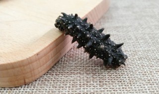 海参面条的做法（海参面条的做法大全）