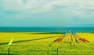 青海省的世居少数民族有哪几个 青海省有哪几个自治县青海省的世居少数民族有哪几个