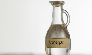 白醋可以杀虫子吗 白醋能杀虫吗?