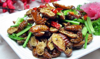 东北干煸蚕蛹的做法（东北干煸蚕蛹的做法和配料）