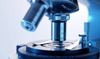 显微镜看到的物体是倒像还是正像 b放在显微镜下看到的是