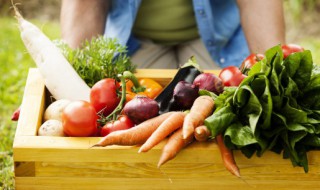 西红柿做法好吃（西红柿做法好吃又简单）