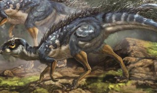 恐龙繁盛的地质年代是什么年代 恐龙繁盛时期该地因为什么环境