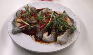 海参斑鱼最好吃的做法 海参斑鱼的缺点和好处
