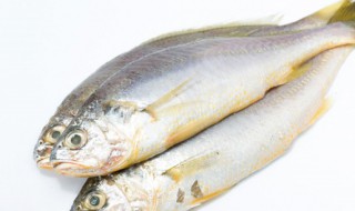 黄鱼鲞的家常做法（黄鱼鲞的家常做法窍门）