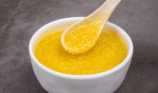 小米粥比例(电饭锅小米粥比例)