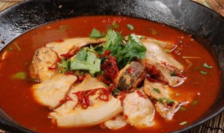 东北炖大马哈鱼的做法 东北炖大马哈鱼的做法大全