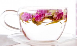粉玫瑰花茶如何喝(粉玫瑰花泡茶功效)