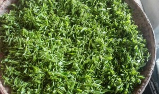 舒城兰花茶的功效与作用(舒城兰花产地)