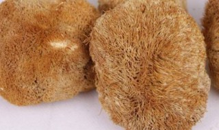 猴头菇能用沸水泡发吗（猴头菇可以用开水泡发吗）