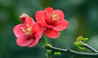 二月几号打春 二月几号开春