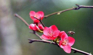 躲春时间段（躲春时间几点到几点?）