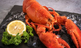 龙虾壳是厨余垃圾吗（大龙虾壳属于厨余垃圾吗）