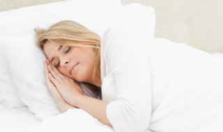 梦见狗的解释(梦见狗解梦)