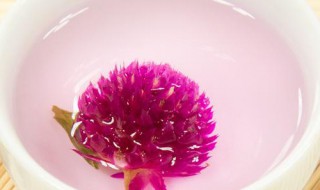 千日红花茶的功效与作用及禁忌 千日红花茶的功效与作用及禁忌症