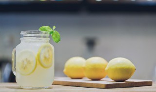 薄荷柠檬茶的功效与禁忌 薄荷柠檬茶的功效与禁忌症