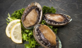 鲍鱼不放冰箱可以保存多久 鲍鱼没有冰箱怎么保存