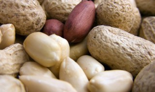 盐水煮带壳花生的做法（盐水煮带壳花生的做法视频）