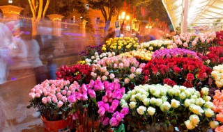 粉色玫瑰11朵代表什么意思 粉色玫瑰花11朵