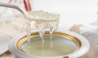 肉汤和燕窝可以一起炖吗（燕窝能和肉一起炖吗）