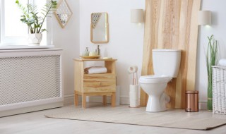 厕所里的灶马蟋从哪里进来的 家里灶马蟋多从哪进家里来的