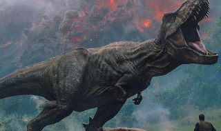 霸王龙长什么样子（霸王龙长什么样子图片 漫画）