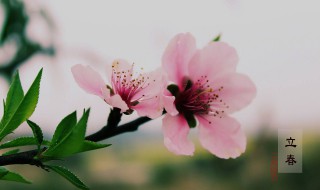 打春怎么躲春（2021年打春怎么躲）