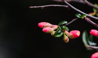 躲春的方式 躲春怎么样躲