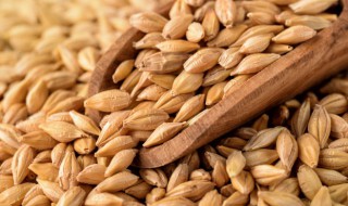 黎麦米如何煮(黎麦米如何煮粥)