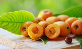 枇杷的寓意及象征（枇杷诗句经典名句）