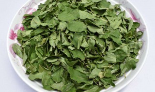 酸枣叶茶的功效与作用及禁忌 酸枣叶茶的功效与作用禁忌糖尿病能喝吗