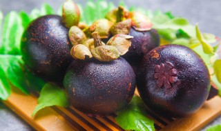 山竹茶的功效与作用及副作用 山竹茶的功效与作用及副作用是什么