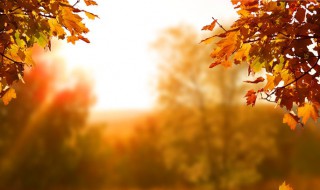 描写秋天的好句子摘抄 秋高气爽天凉好个秋