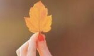 描写十月的优美句子 描写十月的优美句子有哪些