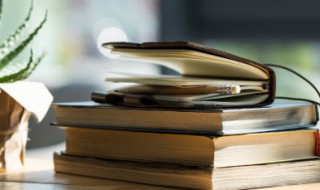 尖嘴猴腮的意思 尖嘴猴腮的解释