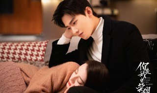 你是我的荣耀杨洋是原声吗 你是我的荣耀演员阵容