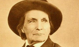 法布尔生平简介 法布尔生平介绍