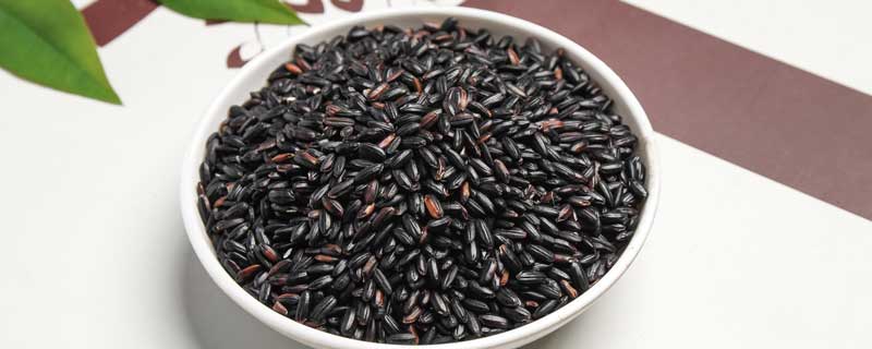 稻麦黍菽稷怎么念  稻粱菽麦黍稷怎么念